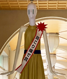 EVE肩こり痛ナナちゃん（エスエス製薬）の写真