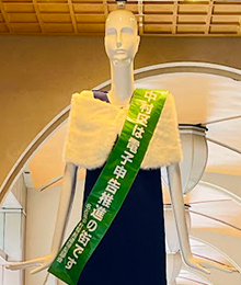 電子申告PRナナちゃんの写真