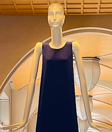 ひとやすみナナちゃんの写真