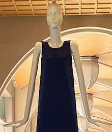 ひとやすみナナちゃんの写真