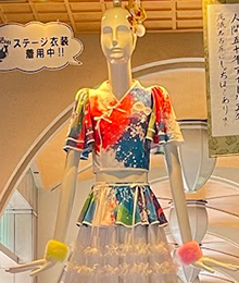  ありがとう！TEAM SHACHIナナちゃん(シャチラストイヤー盛り上げ隊)の写真