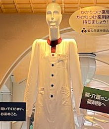  薬剤師ナナちゃん（愛知県薬剤師会）の写真