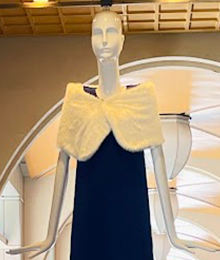 ひとやすみナナちゃんの写真