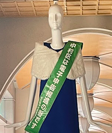 税を考える週間ナナちゃんの写真